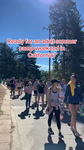 Would you spend a weekend at an adult summer camp? #summercamp #campnocounselors #fypシ #california #foryoupage 