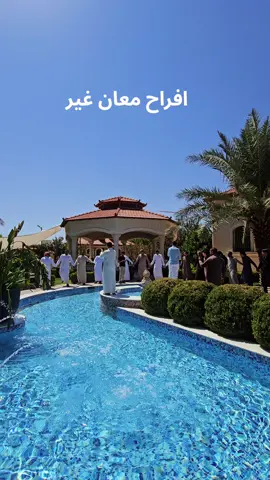 #معان #معان_الجنوب #افراحنا #عمان_الاردن🇯🇴🤍 