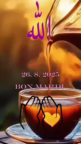 #creatorsearchinsights #bon mardi #🤲🤲🤲🤲🤍🤍🤍🤍 #🤲🤲🤲🤲🤍🤍🤍🤍 