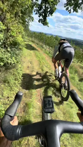 Just sooo much fun 😍😮‍💨 #gravelbike #cycling #gravel #gravelride #cyclinglife #cyclingmotivation 