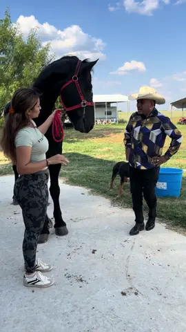 Vendió el caballo frizon a escondidas de su marido mira lo que pasó 😱