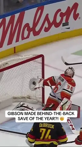Will John Gibson help the Red Wings end their playoff drought? 🐙🔮 #NHL #hockeygoalie #hockeytiktoks #highlights 