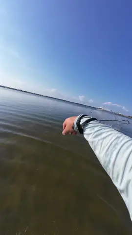 Catching live bait for kayak fishing. #kayakfishing #castnet #florida