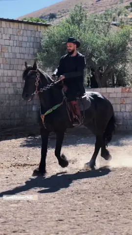 #berro_horse_club Olga❤️✨ pure female friesian👌 Class A one and only in Berro Horse Club🤍  @Dr. Mohammad Berro 🐎 #viralvideo #خيل #خيل_وخياله🐎 #equestrian #horses #للبيع #fypシ゚viral 