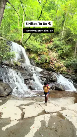 Charlie’s Bunion is my fav 😍  #smokymountains #smokymountainstennessee Smoky Mountain Hikes | Smoky Mountains Things to Do 