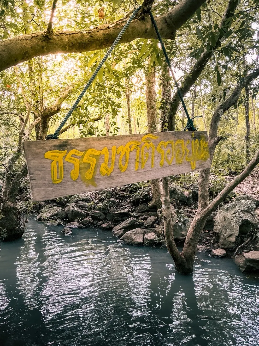 บรรยากาศของธรรมชาติ🏞️🌳#อ่างเก็บน้ําโคกตาสิงห์ #บุรีรัมย์ #fyp #foryou 