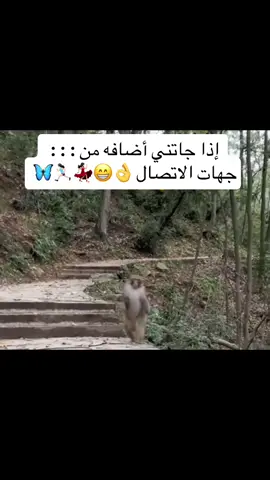 #😂😂😂 #ضحك_طقطقه_فله_وناسه 