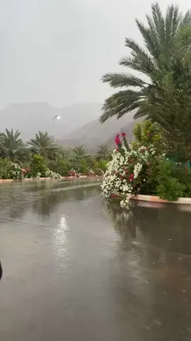 #نجران_الان #نجران_السعوديه #نجران_يام          يهناكم الحيا🌧️⛈️