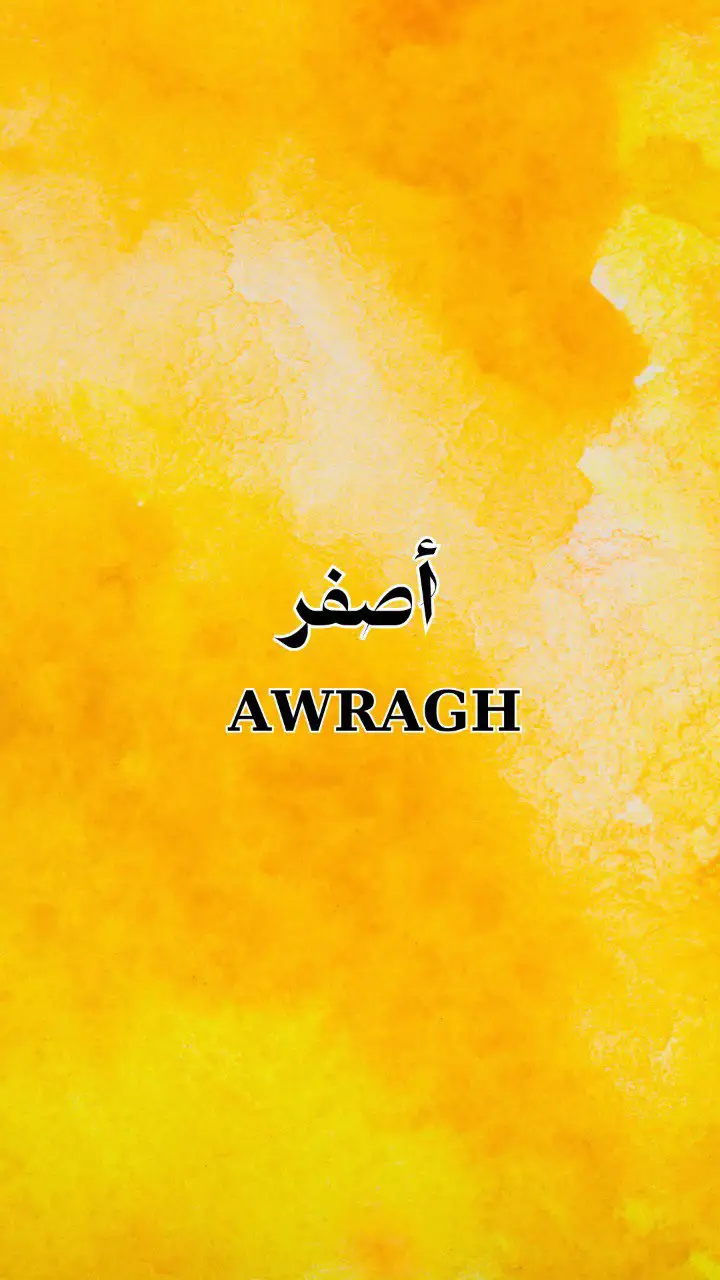Part 20 💛 #foryou #viral #amazigh #kabyle_dz #tiziouzou #imazighen💛💚 #bejaia #learntamazight #apprendretamazight 