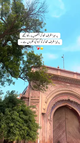 یہ میرا ظرف تھا کہ آنکھوں پر رکھا تُجھے یہ تیرا ظرف تھا کہ تُو گرتا گیا نظروں سے ۔ ❤️‍🩹🙂‍↔️#vitiktokindiaviafollowmyins #vitiktokindiaviafollowmyins 