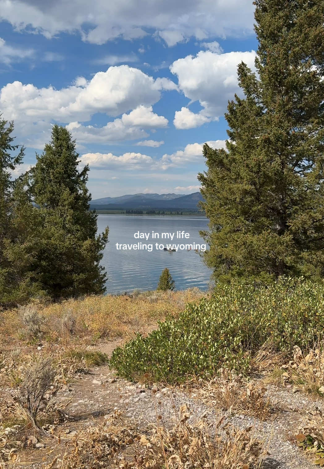 travel day to my fav place for wedding week!!!🤠 #wyoming #dayinmylife #fyp #travelvlogs #CapCut 