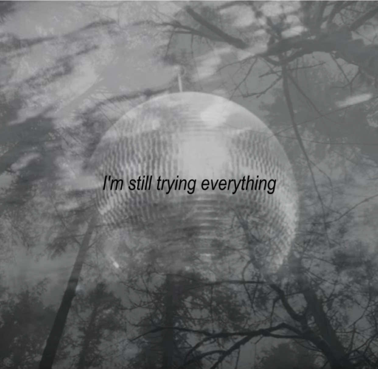 🪩 | #taylorswift #mirrorball #lycris #music #folkloretaylorswift 