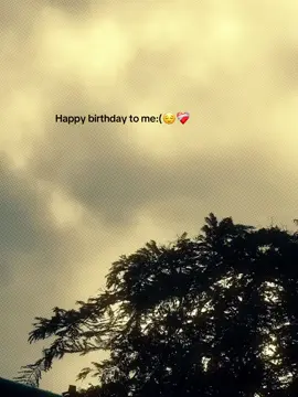 Happy birthday to me:(😌❤️‍🩹#foryou #fpyシ #tiktok #bdtiktokofficial🇧🇩 #junayedx2 