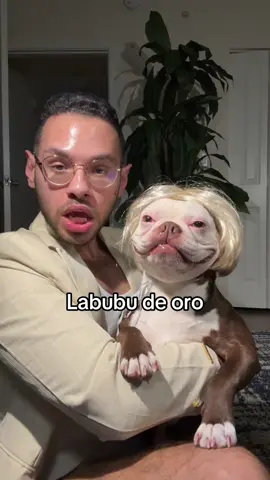 Labubu de oro ( gold ) #labubu #fyp 