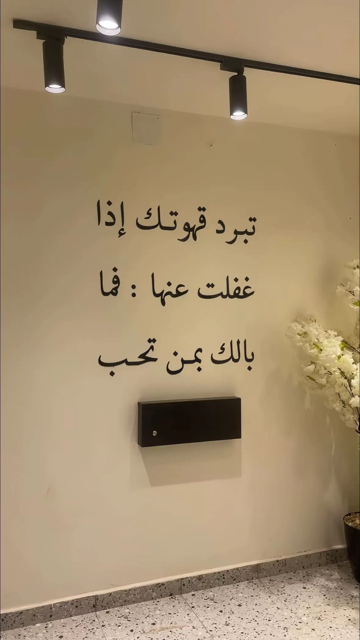 #اكسبلور #عشوائيات 