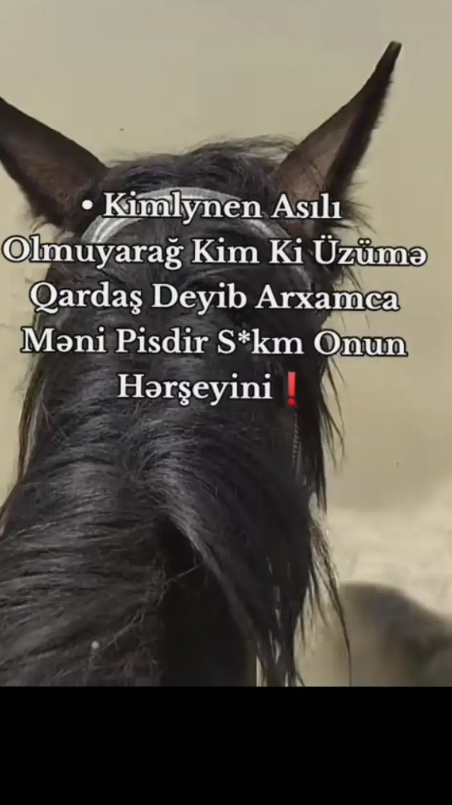 #icazəsizəkmə🚫 #fyppppppppppppppppppppppp #partdadun🌹kəşfet🌹bəyən🌹 #vüqarbiləcərioficcial #bəyənin❤️👈zəhmətolmasa 