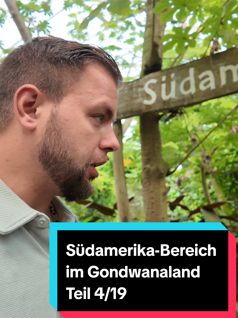In Gondwanaland entdecken wir den Südamerika-Bereich voller Pflanzen, Tiere und richtig schöner Details. #Zoo #Zoologischergarten #Leipzig #Ausflug #Janbln 