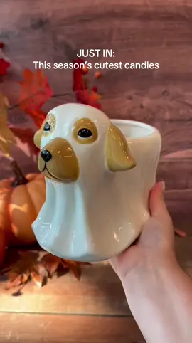 This ceramic lineup MIGHT just be Fall perfection 🍂🥧🐾🧶✨ #tkmaxxfinds #tjmaxxfinds #homegoods #fallcandles 