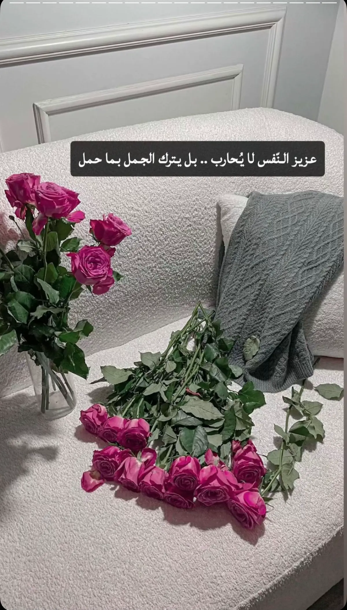 #فوريو_foryou #cat #fypシ゚ #