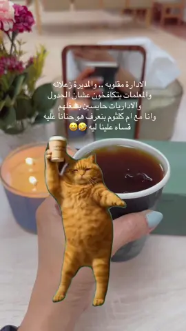 #CapCut #اكسبلورexplore #foryou #fyp 