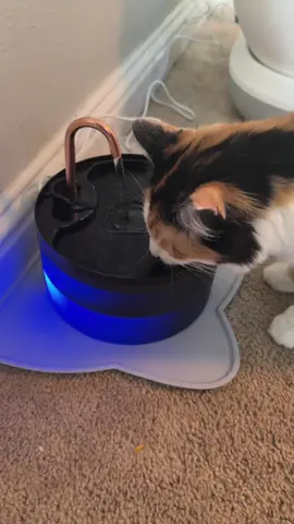 Get yours today! #pet #cat #catwaterfountain #pets #product 