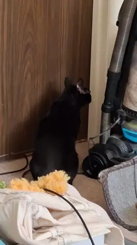 he wants that baby so bad