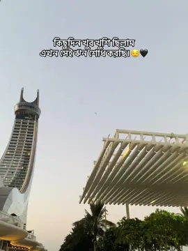 কিছুদিন খুব খুশি ছিলাম এখন সেই ঋন শোধ করছি..🖤#dohaqatar I #qatartiktok #foryou #foryoupage #vairalvideo