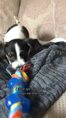 Like how can u not like that cutieeewe