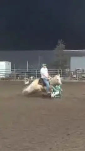 Ole yeller getting a 2D placing. She’s a tough one.  #foryoupage #barrelracing #horsetrainer #fyp #horses 