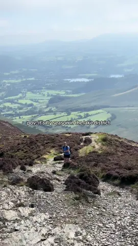 I think it’s safe to say she wasn’t a fan of the heather flies 😂 (No flies were harmed in the making of this video 😅) #Hiking #lakedistrict #mountains #hike #hikers 