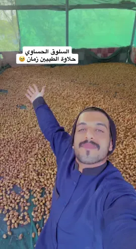طريقة السلوق الحساوي  النوع زاملي وهو أفضل الأنواع للسلوق لتميزه بالطعم الحلو وسماكته برغم أنه طري جداً، السلوق أحد طرق حفظ التمور قديماً في الأحساء حيث كان الأجداد قديماً يأخذونه معهم في الأسفار نظراً لتحمله مختلف الظروف القاسية ويبقى جيد للأكل.  #الأحساء #المملكة_العربية_السعودية #السلوق #تمر #التمر 