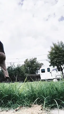 Amazing#yardwork 