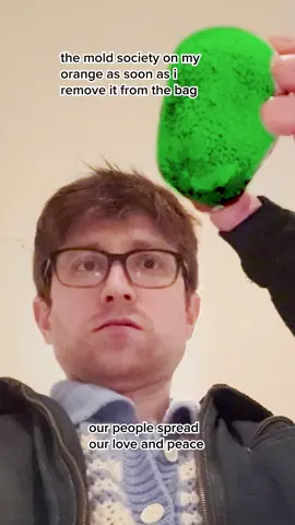 might eat this orange to strengthen microbiome (animation by the inimitable @Rabbert)