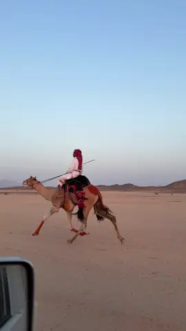 #اكسبلوررر 