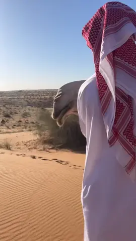 #explore #like #النفود #هاشتاقات_تيك_توك_العرب #لايك__explore___ #viral 