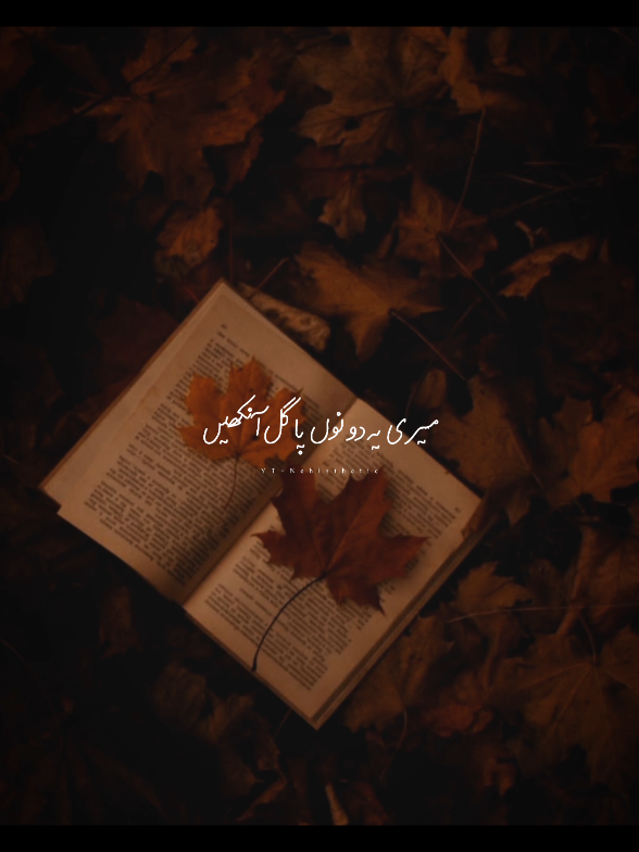 meri ye dono pagal ankhein💝🕊 #capcut #viral #foryou #nehisthethic #lyricsvideo 
