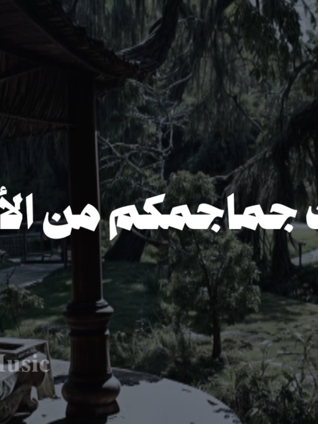 بدون موسيقى 🤎  #يا_من_زعمتم_حب_ال_نبيكم #fypシ゚  #اناشيد #بدون_موسيقي #no_music 