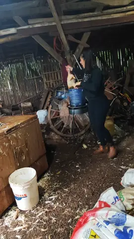 #coisadeinterior 