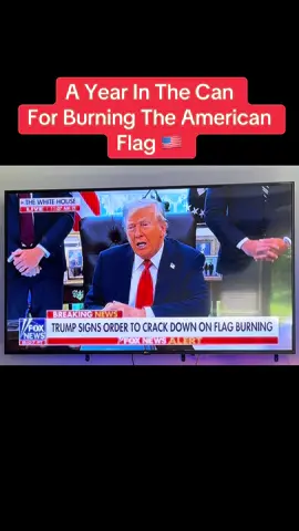 That Flag Burning Stuff Will Stop Now 🤌🏼🇺🇸💯 #Fyp #BreakingNews #News #Trump #DonaldTrump 