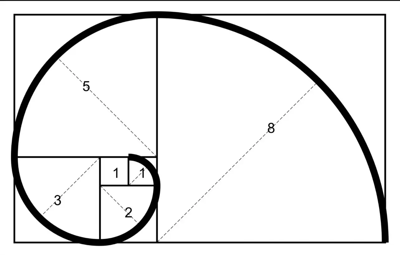 The TRUTH behind the golden ratio #67 #sixseven #fibonacci #goldenratio #sdiybt 