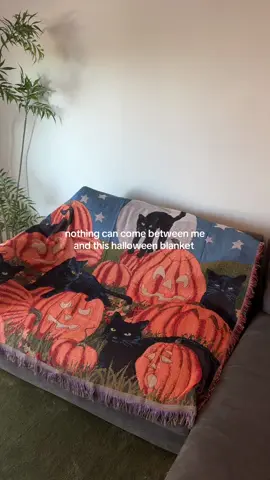 When all of your Halloween decorations get delivered at the same time and you’re having the best day of your life #halloween #halloweendecor #halloweenblanket 