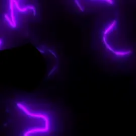 интересно залетит ли #дота2 #дота #спектра #spectre #dota #dota2 #эдит #эдиты #edits #edit 