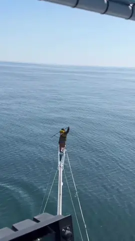 ‘A bunch of 8 deep ones!’ - @twofinbluna 🎥 @heathermillian  📍 Strike missions are live YouTube!  📍 Links in bio. Don’t forget to follow! We have some INSANE trips coming up! Big Fish, Heavy Waves, Raw Stories! That’s Aclassic! https://linktr.ee/aclassic #fishing #fish #fishinglife #bluewater #nature  