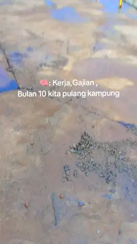 #luwuutara 