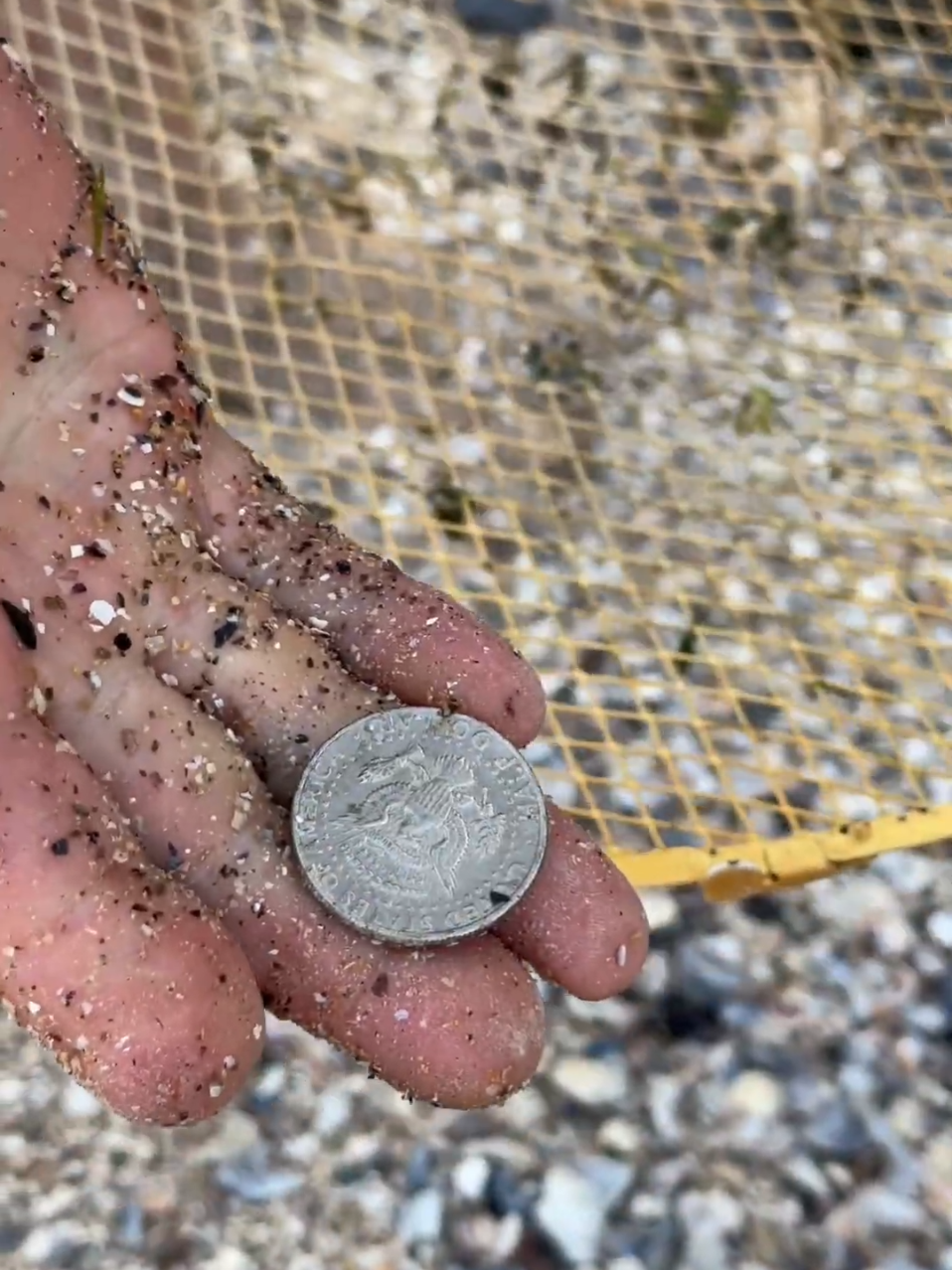 Beach Treasure🤩#beach #viral #discovery #gold #treasure 
