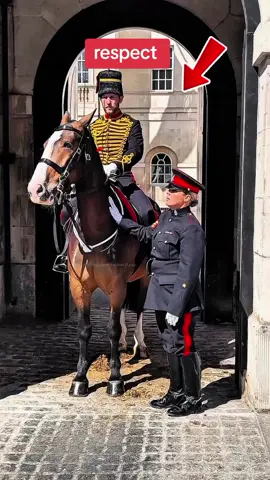 japanese respect king guard horse #kingguardhorse #kingguard #royalguard 