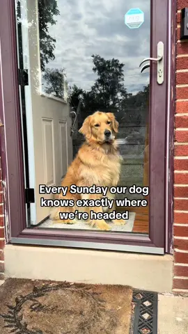 Family days are the best 🐶🥰