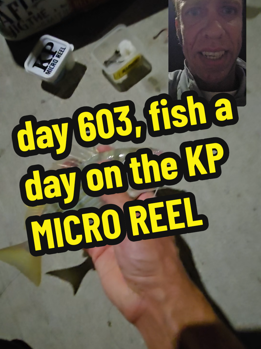 603 days in a row catching at least one fish every day. on these little fishing setups- the #kpmicroreel #kindaprimitive #fishing #fish 
