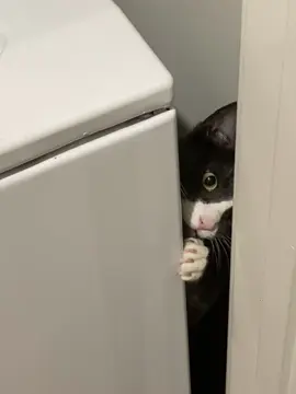 It took us about 10 minutes to get her out 😂