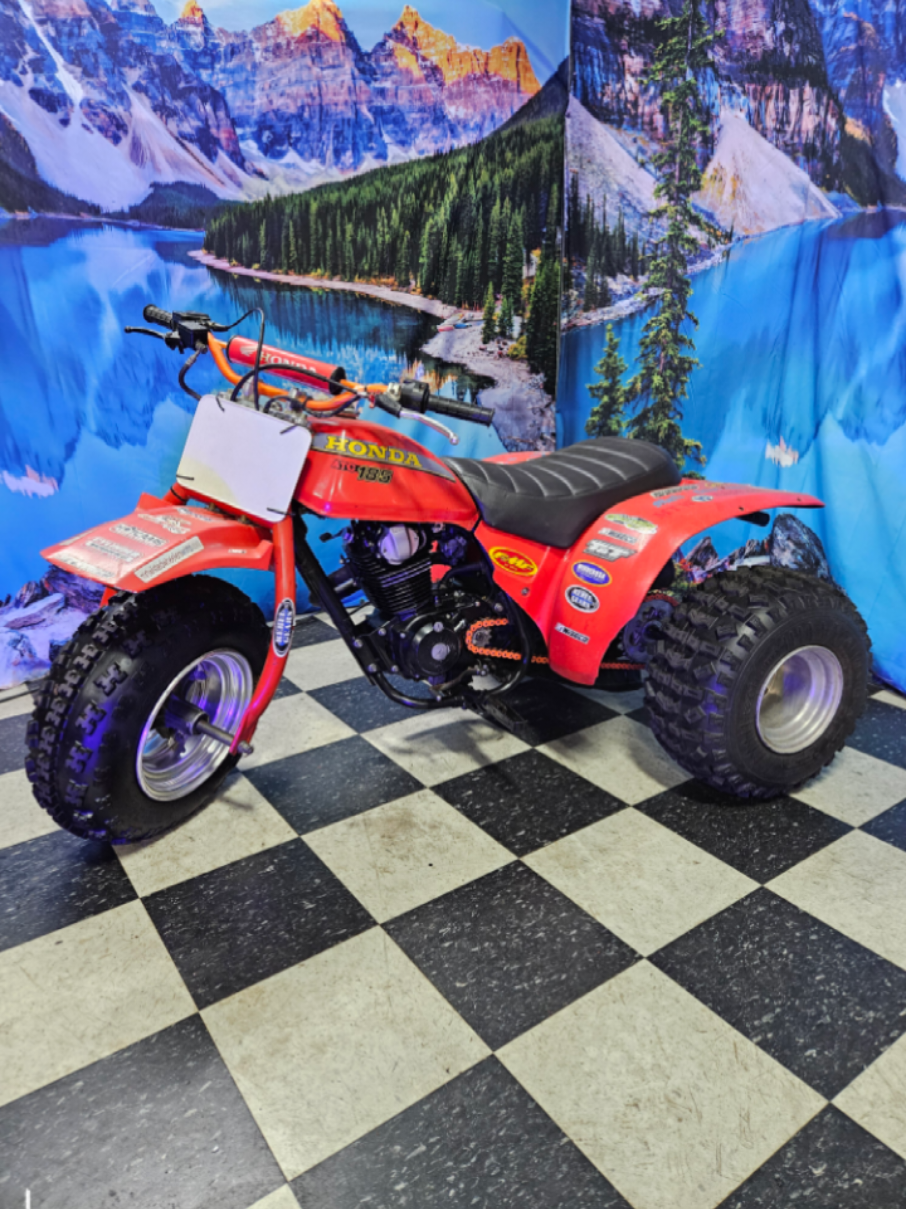 Snoop Dog.  #snoopdogg #dog #1234  The Orange Bomber built by Mr.Twisted Wheelers World LLC